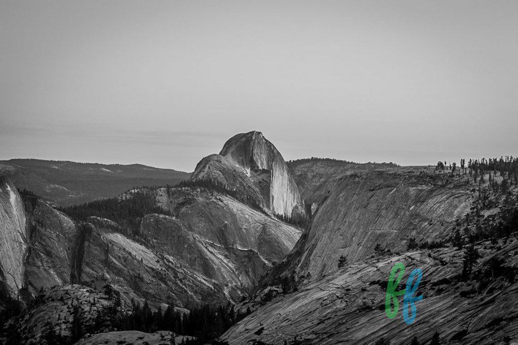 Yosemite (17 of 14)