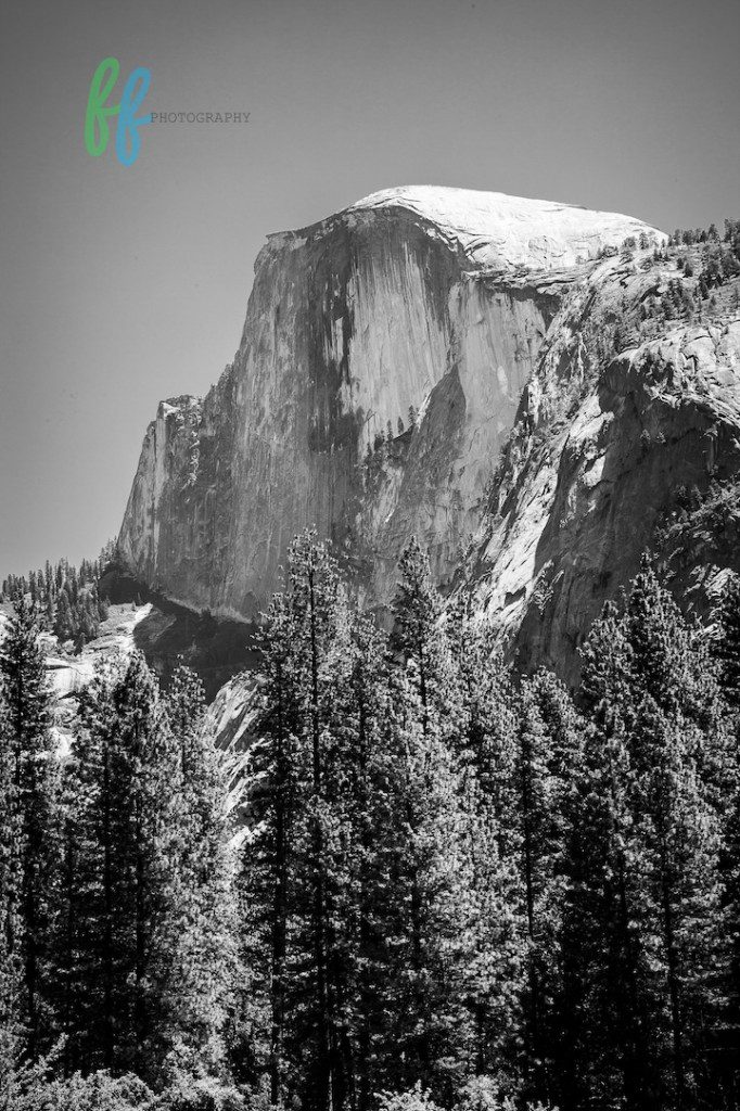 Yosmite Blog Photos (1 of 13)