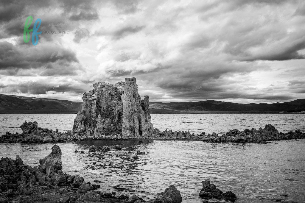 Yosmite Blog Photos (10 of 13)