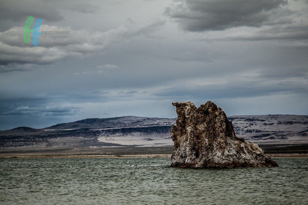 Yosmite Blog Photos (11 of 13)