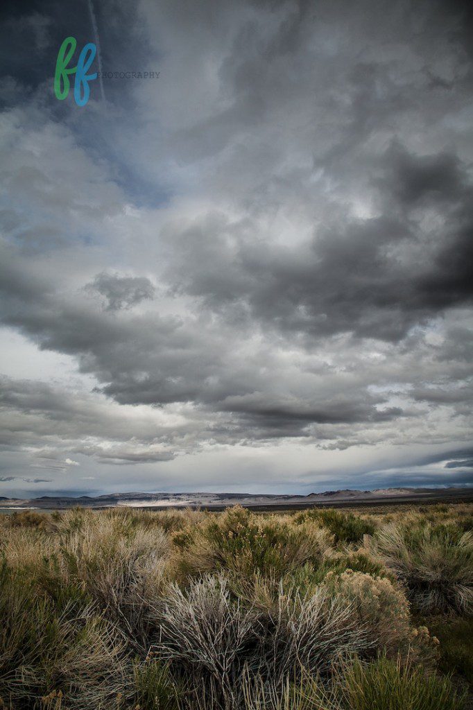 Yosmite Blog Photos (12 of 13)