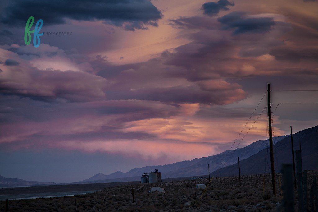 Yosmite Blog Photos (13 of 13)