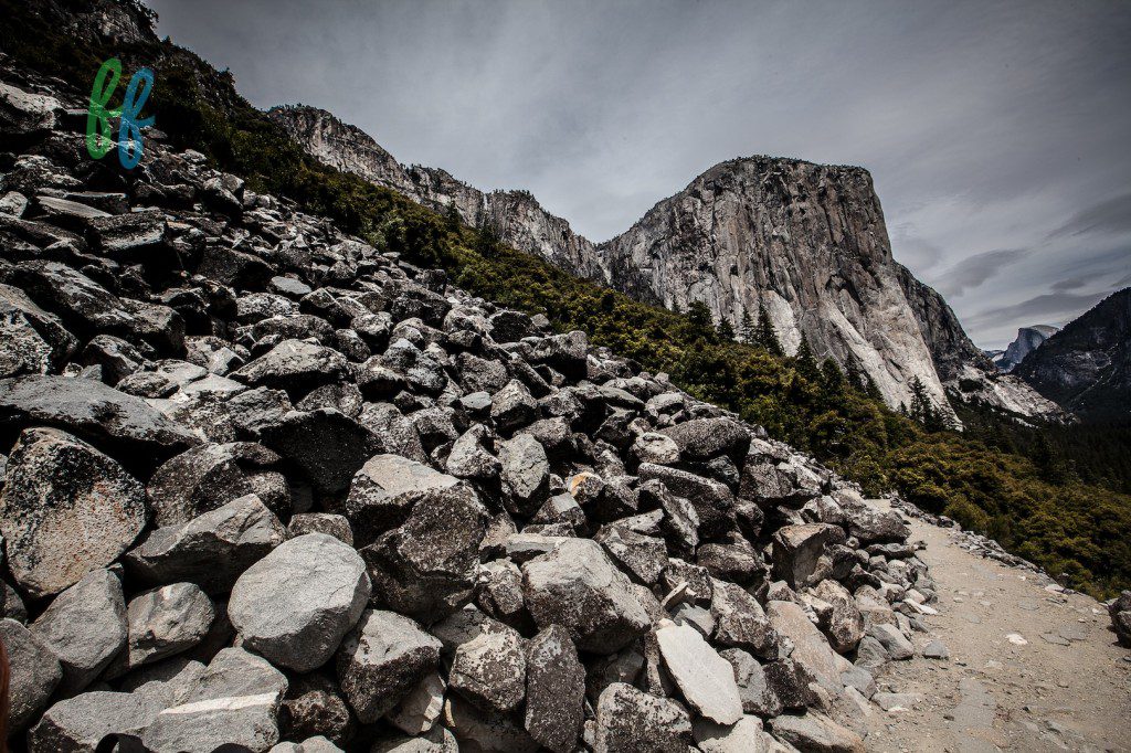 Yosmite Blog Photos (3 of 13)