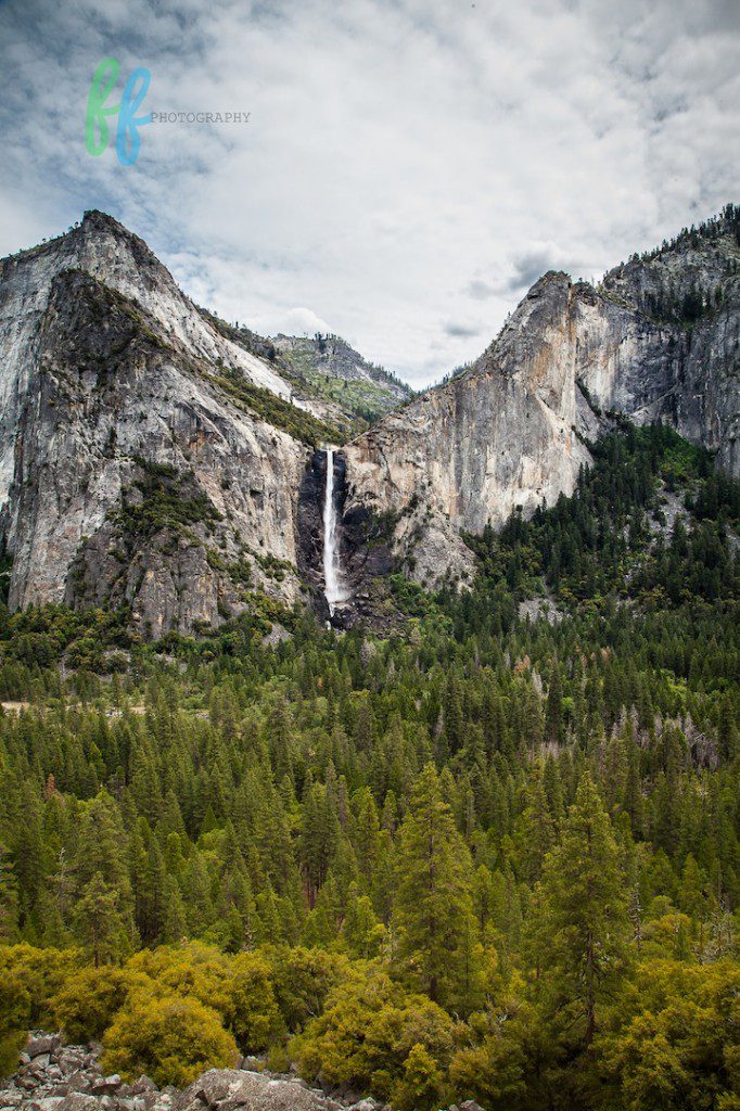 Yosmite Blog Photos (6 of 13)