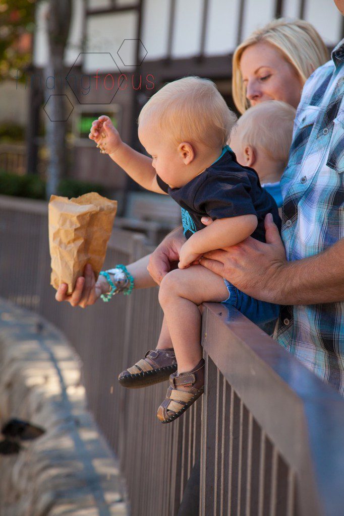 Jason & Shalene Engagement Blog Photos (7 of 18)