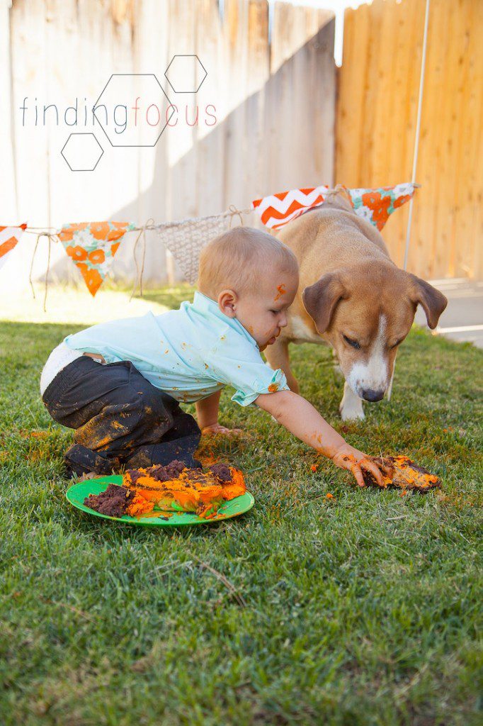 Maverick's Cake Smash Blog Photos (10 of 14)