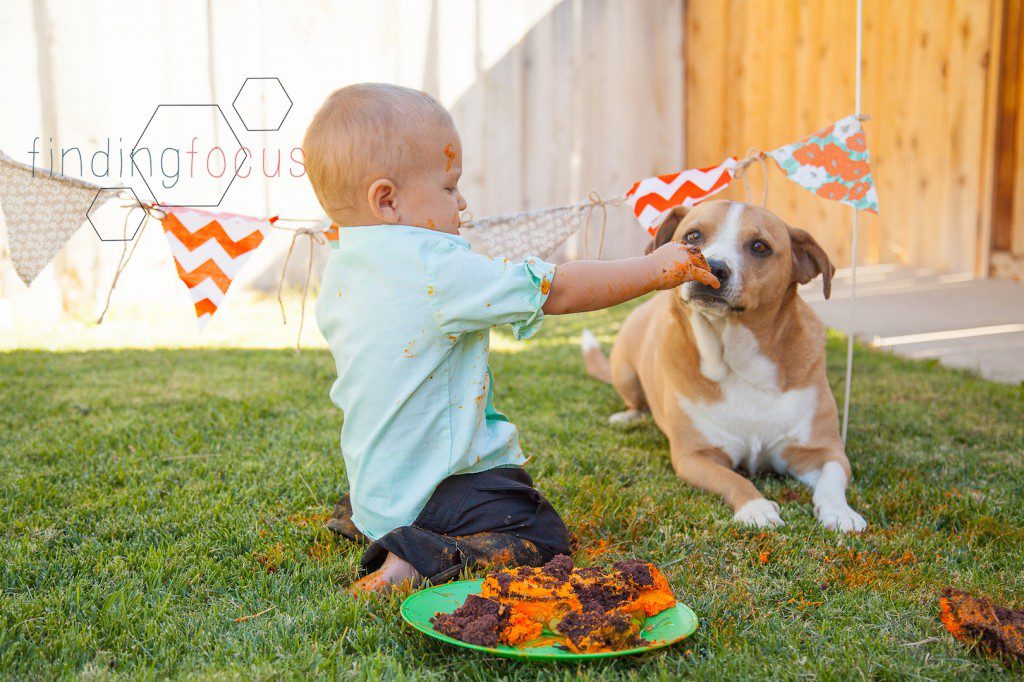 Maverick's Cake Smash Blog Photos (11 of 14)