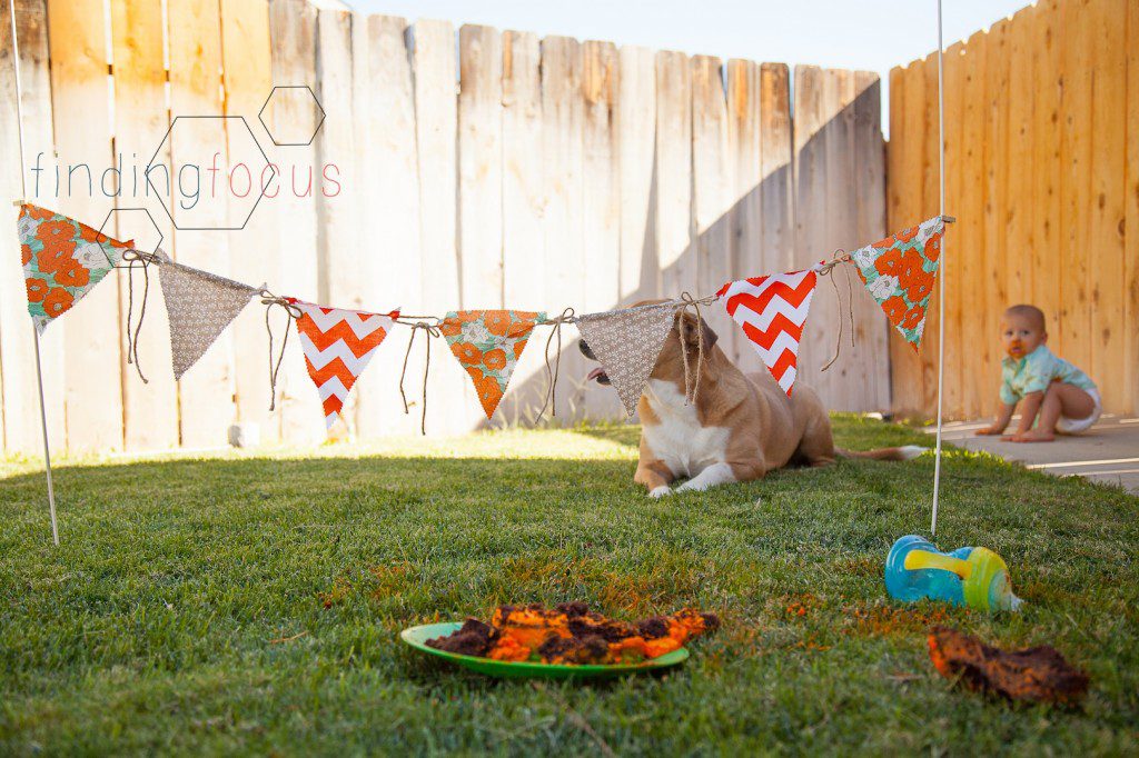 Maverick's Cake Smash Blog Photos (12 of 14)