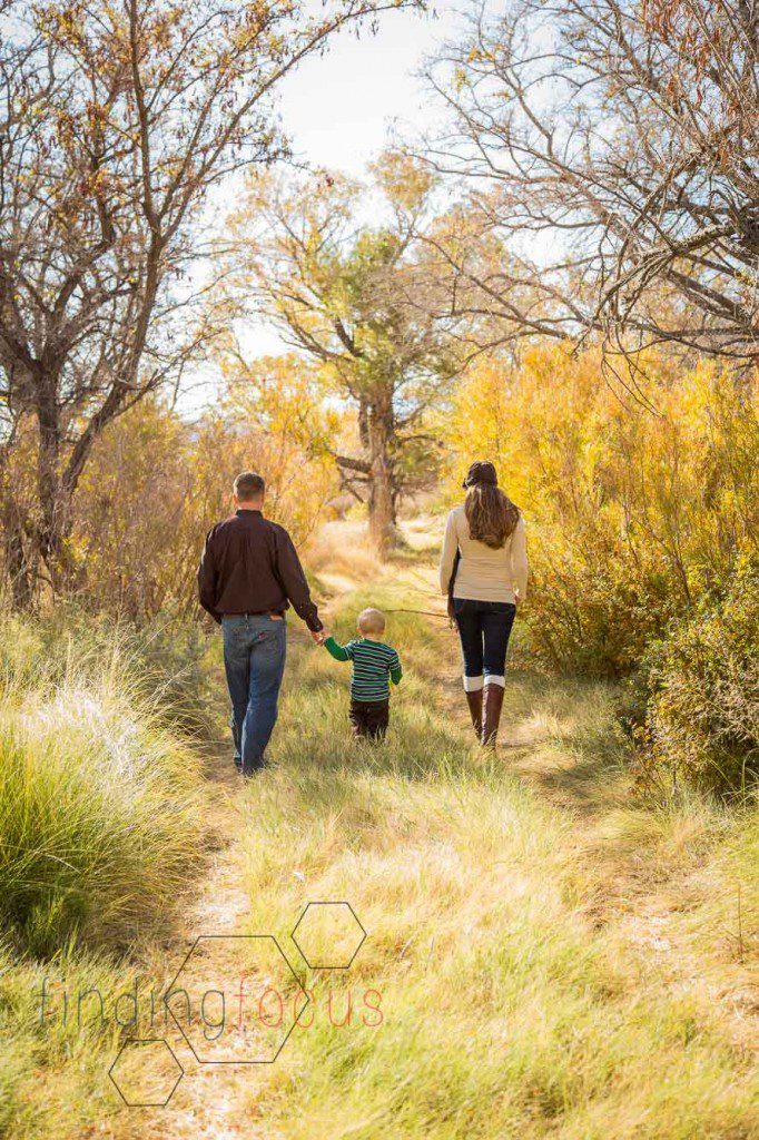 The Sibrels (5 of 12)