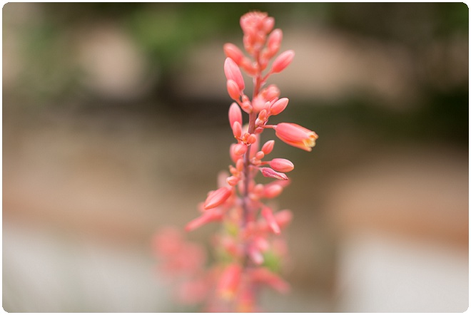 Finding Focus Photography photographer_0137.jpg