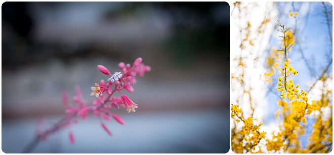 Finding Focus Photography photographer_0150.jpg