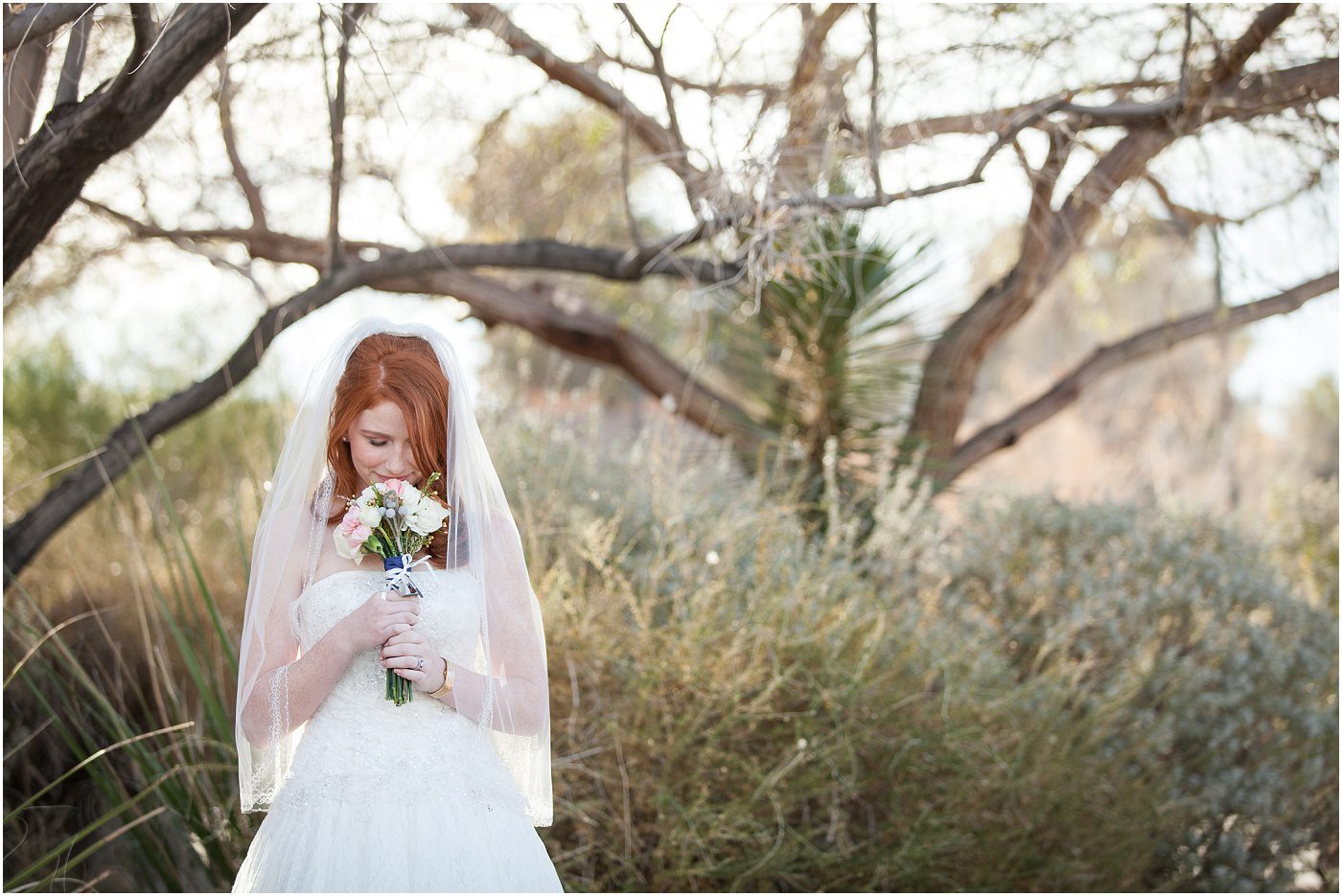 Finding Focus Photography photographer_8980