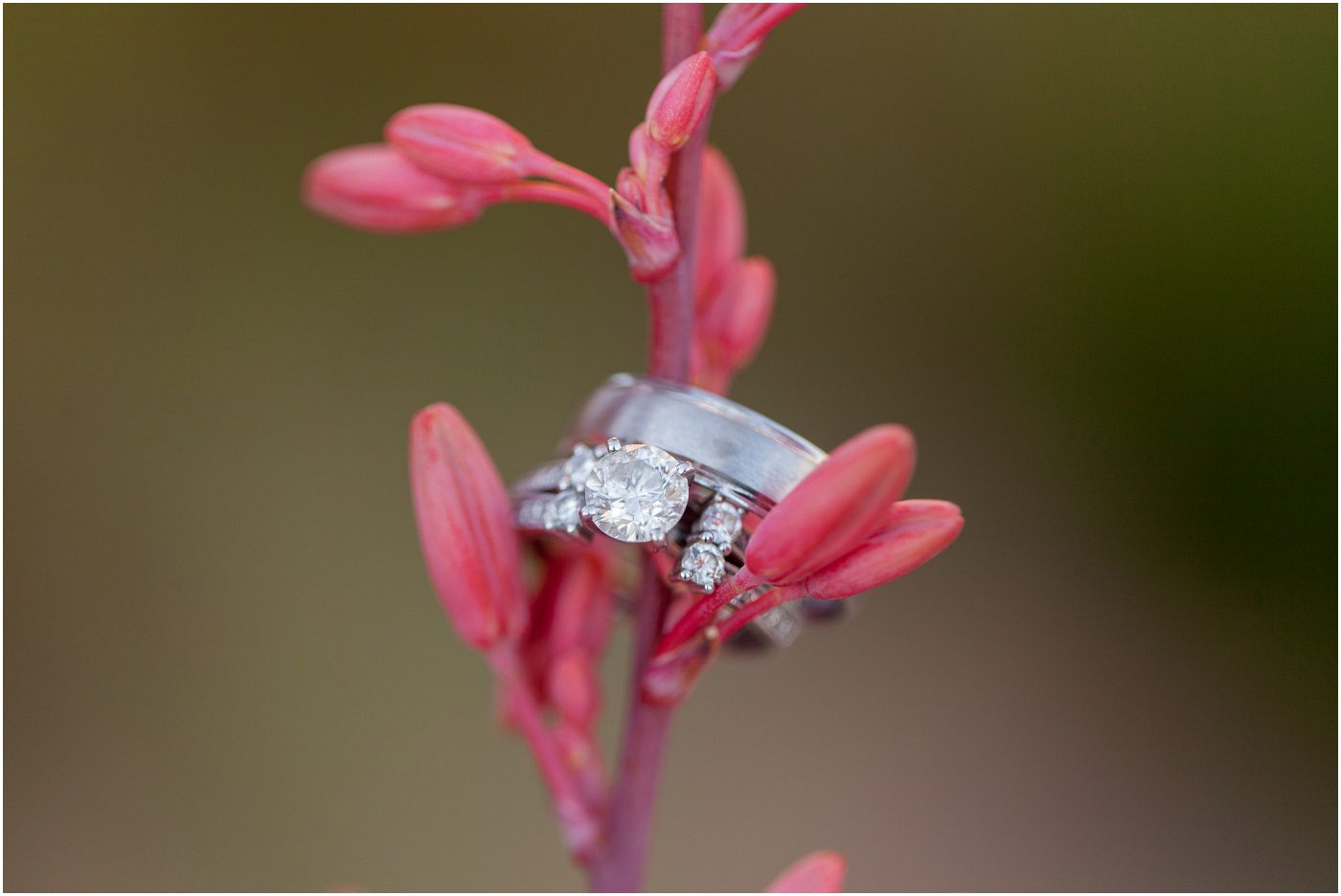 Finding Focus Photography photographer_5882